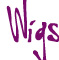 Girlis Wigs